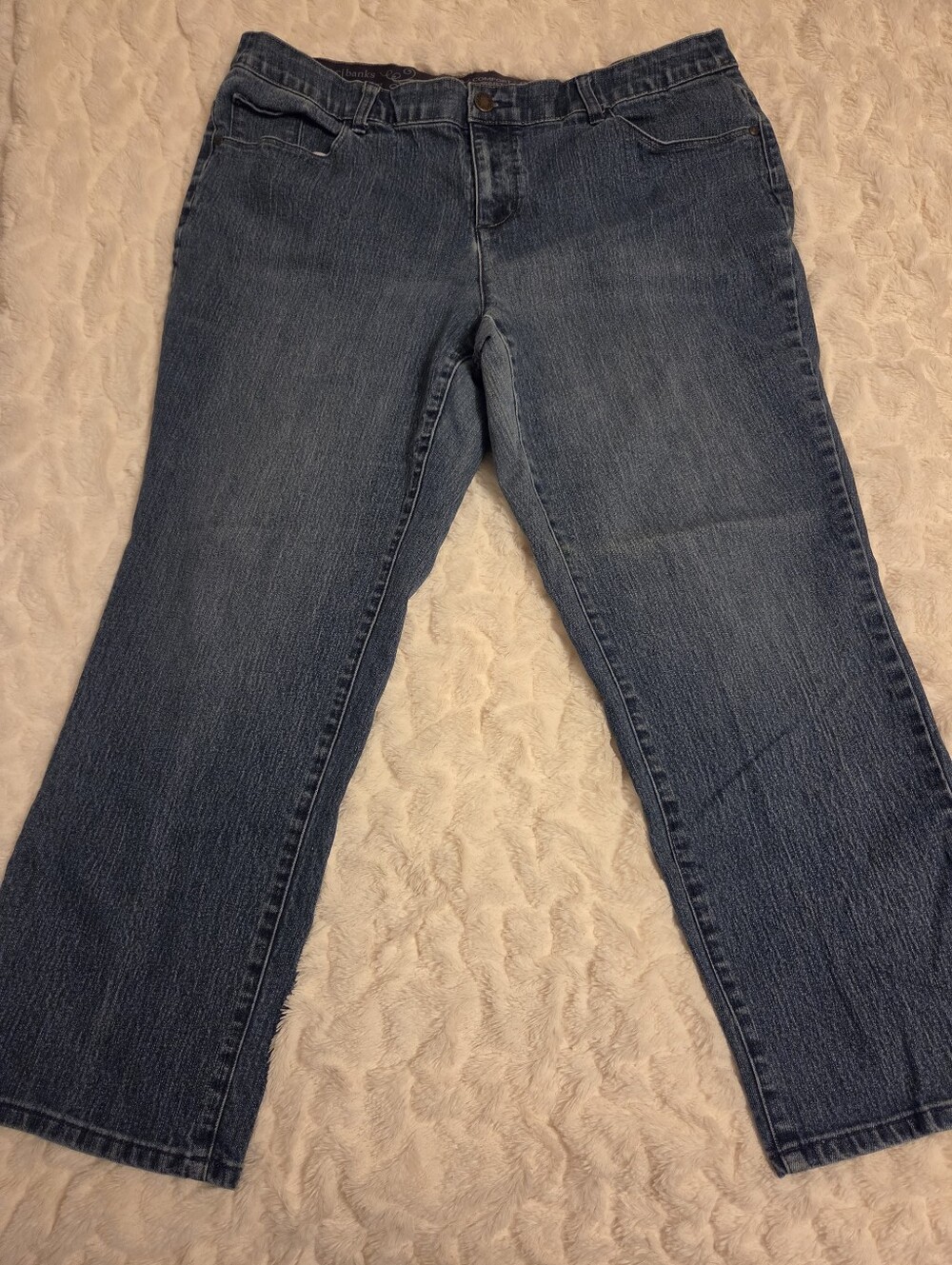 CJ Banks Moderately Curvy Fit Blue Denim Jeans Size 20W Petite